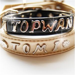 トップワン イニシャルスタッズ